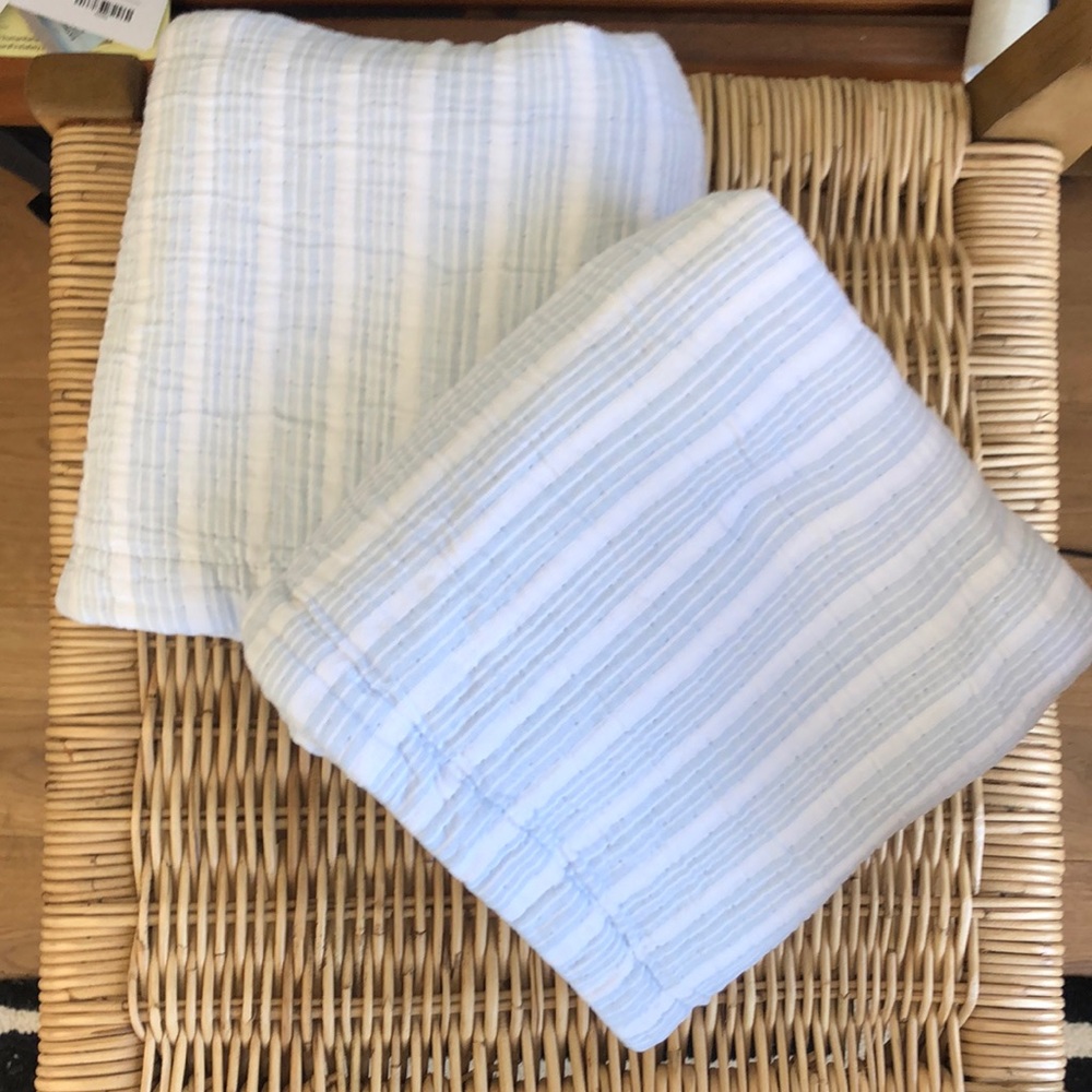 Pair Serena & Lily Chambray Stripe Euro Shams.